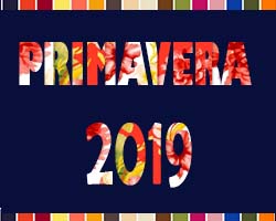 Cores da primavera-verão 2019 para repaginar sua loja